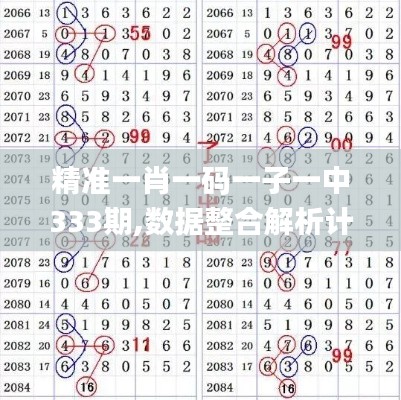精准一肖一码一子一中333期,数据整合解析计划_见证版WZY11.69