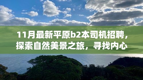 最新平原B2本司机招聘启事，自然美景之旅，探索内心宁静与驾驶乐趣的旅程