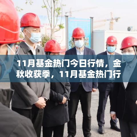 金秋收获季热门基金行情深度评测与今日行情分析