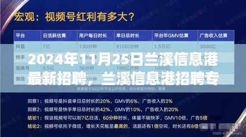 兰溪信息港最新招聘专讯，探寻最新职位，启程职业梦想（2024年11月25日更新）