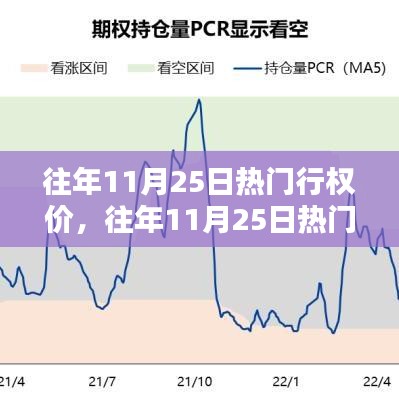 往年11月25日热门行权价深度解析与观察