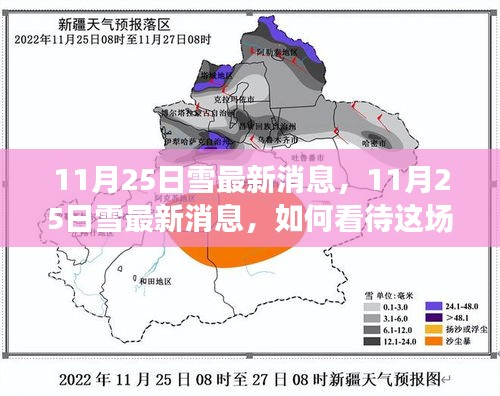 11月25日雪最新消息，影响与争议深度解析