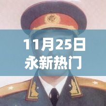 11月25日永新热门新闻全解析，热点聚焦，最新情报揭秘