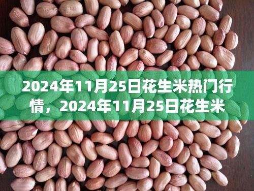 2024年11月25日花生米市场热门行情深度解析