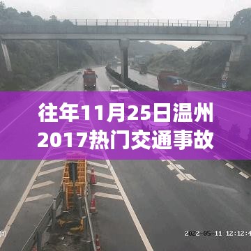 温州地区往年11月25日交通事故深度解析与回顾