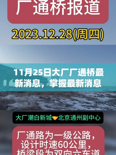 11月25日大厂厂通桥最新资讯，任务完成与技能学习全攻略发布