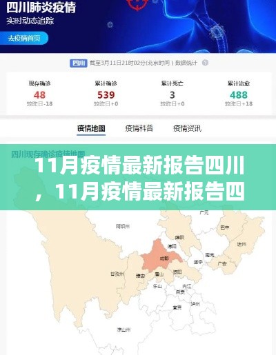 四川疫情最新报告，全面评测与介绍（11月版）