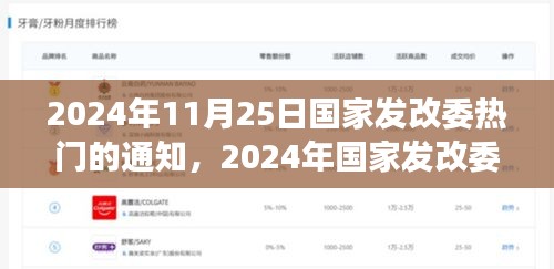 国家发改委热门通知全面评测与深度解读（2024年11月25日）