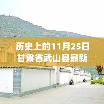 探寻历史印记下的武山县新貌，最新历史消息全解析——历史上的11月25日甘肃省武山县纪实报道