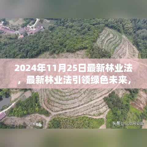 最新林业法引领绿色未来，成就梦想之林学习变化与自我提升之路