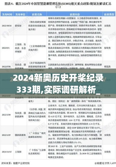 2024新奥历史开桨纪录333期,实际调研解析_编程版MBC11.20