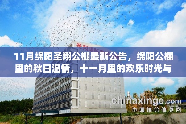 绵阳圣翔公棚秋日公告，温情、欢乐与友情的十一月纽带