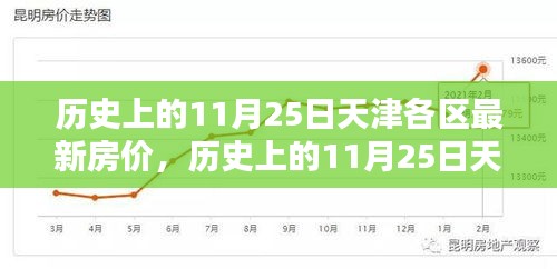 历史上的11月25日天津各区最新房价，历史上的11月25日天津各区最新房价详解，购房指南与步骤