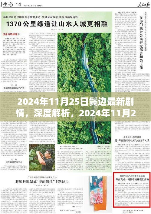 鬓边剧情深度解析与评测，最新剧情介绍及情感解读（2024年11月25日）