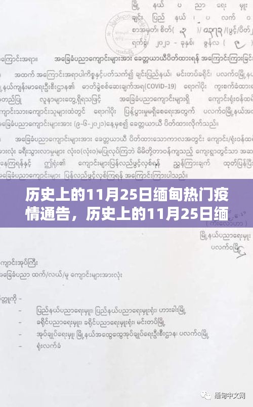 历史上的11月25日缅甸疫情通告深度解析与评测