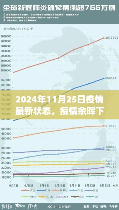 2024年11月25日疫情最新状态，疫情余晖下的转折，2024年11月25日的全球视角