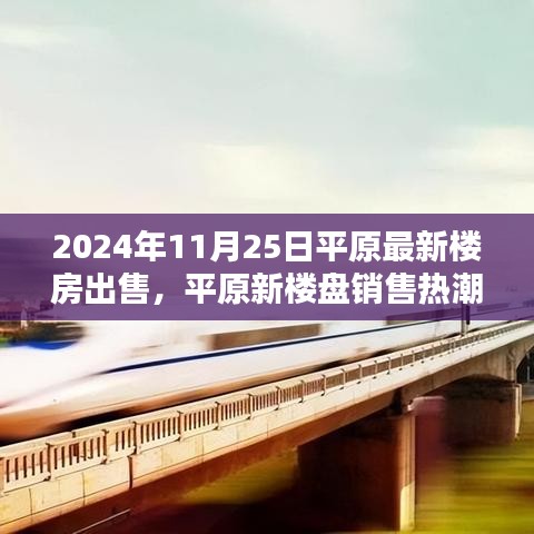 平原新楼盘销售热潮背后的利弊分析与我的观点