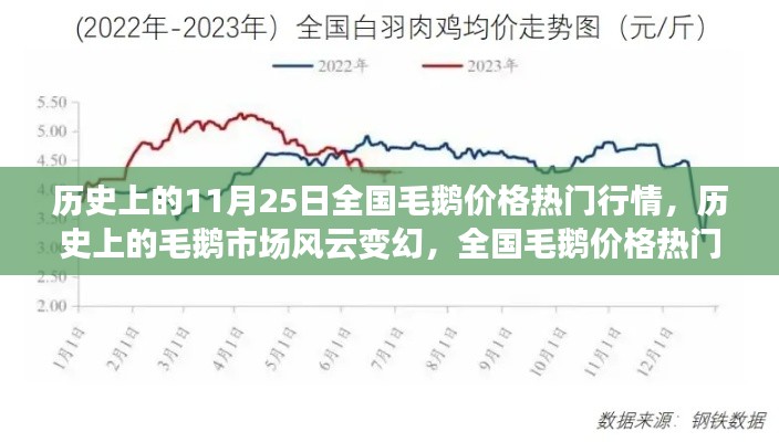 全国毛鹅价格热门行情回顾，11月25日历史行情与毛鹅市场风云变幻