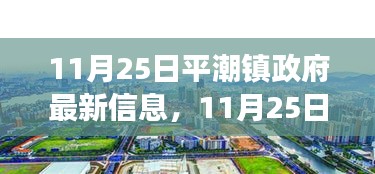 11月25日平潮镇政府最新动态，新风向下的学习与成就铸就自信之路