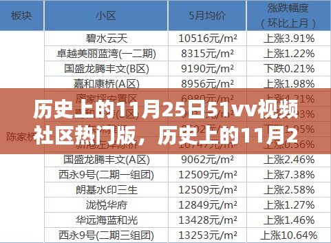 历史上的11月25日，51vv视频社区热门版深度测评与介绍