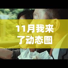 11月动态图片风潮深度探讨，热门趋势与影响