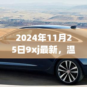 温馨日常与特殊记忆，2024年11月25日的独特印记