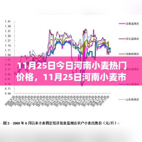 河南小麦市场热门价格解析，最新行情、趋势预测与种植户应对策略