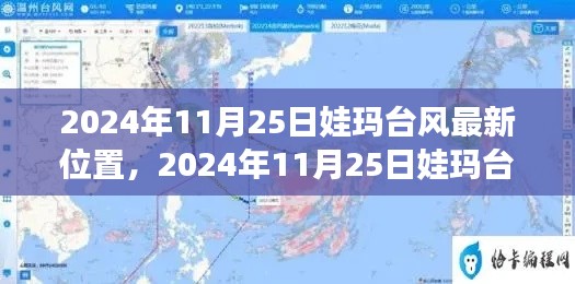 娃玛台风最新动态，位置、影响分析及2024年11月25日最新消息