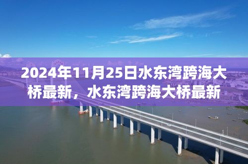 水东湾跨海大桥最新进展报道，2024年11月25日更新