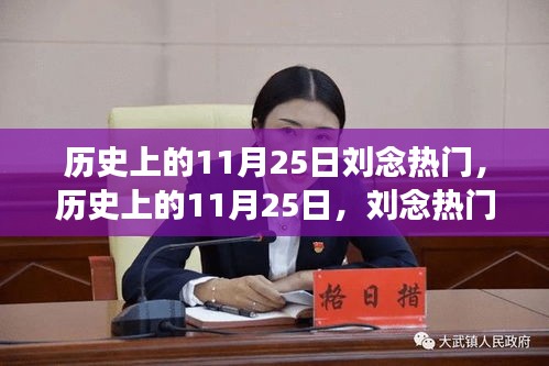 历史上的11月25日刘念热门事件回顾