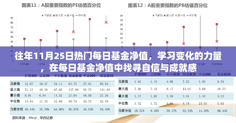 每日基金净值洞察，探寻变化的力量，收获自信与成就感之路