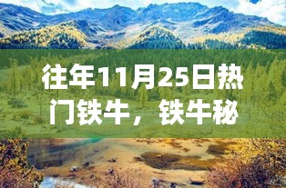 十一月暖阳下的铁牛秘境之旅，追寻自然和谐与内心宁静的旅程