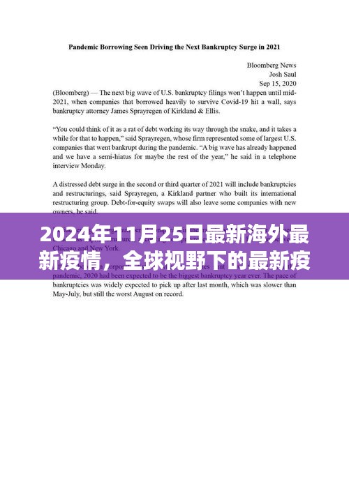 全球视野下的最新疫情动态，2024年11月25日海外新冠疫情概览