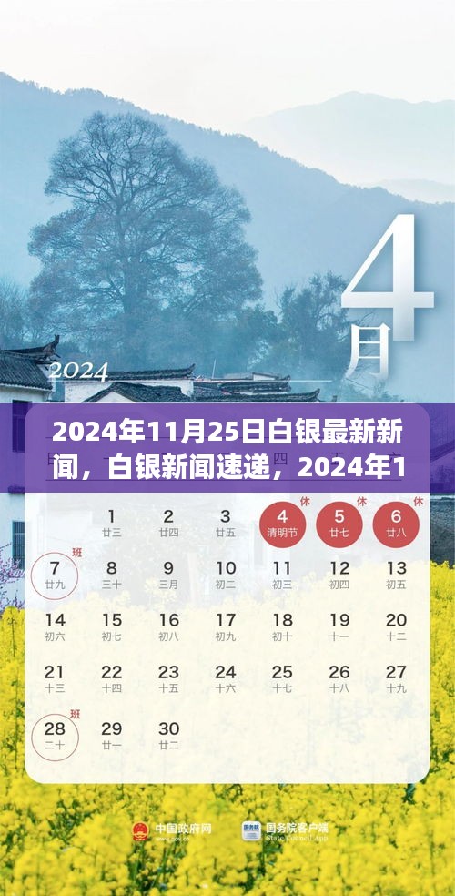 2024年11月25日白银市场动态解析与探索，最新新闻速递