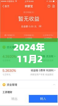 理财小达人揭秘，2024年11月28日活期理财奇遇与热门选择