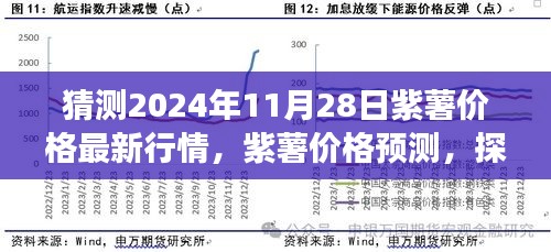 紫薯价格预测，探寻未来行情的蛛丝马迹（市场洞察，最新行情预测至2024年11月28日）