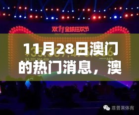 澳门热点新闻聚焦，11月28日最新消息速递