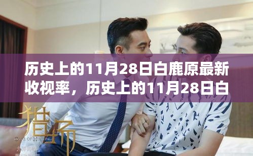 历史上的11月28日白鹿原收视率深度解析