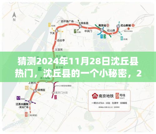 沈丘县秘密揭晓，揭秘2024年11月28日的温馨奇遇与热点展望