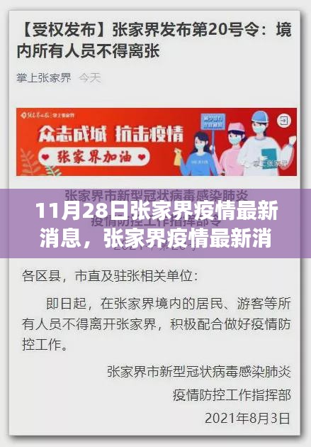 张家界疫情最新动态，解读与应对策略，安全度过关键期