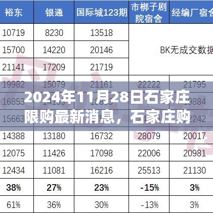 石家庄购房新纪元，拥抱变化，自信筑梦家园