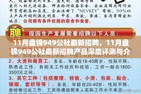 11月盘锦949公社最新招聘及产品深度评测介绍