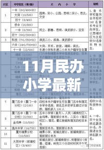 11月民办小学最新政策详解与适应指南