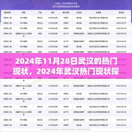 聚焦武汉，2024年发展与挑战探析，热门现状一览