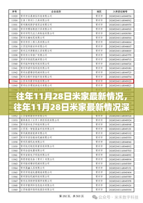 往年11月28日米家最新动态深度解析与观点探讨