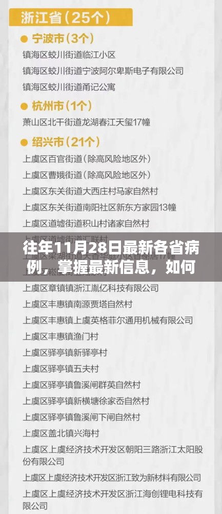 往年11月28日各省病例详解，查询步骤指南及最新信息掌握