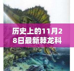 对答如流 第20页