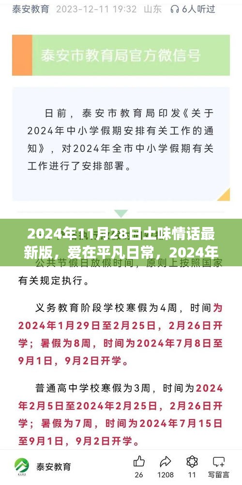 爱在平凡日常，最新土味情话之旅（2024年11月28日）