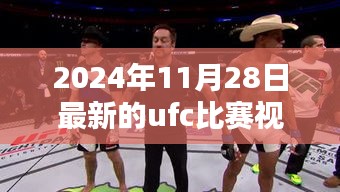 聚焦2024年11月28日UFC比赛，最新视频与前瞻