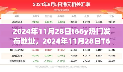 科技与文化的交汇盛典，2024年11月28日T66Y热门发布地址回顾与前瞻